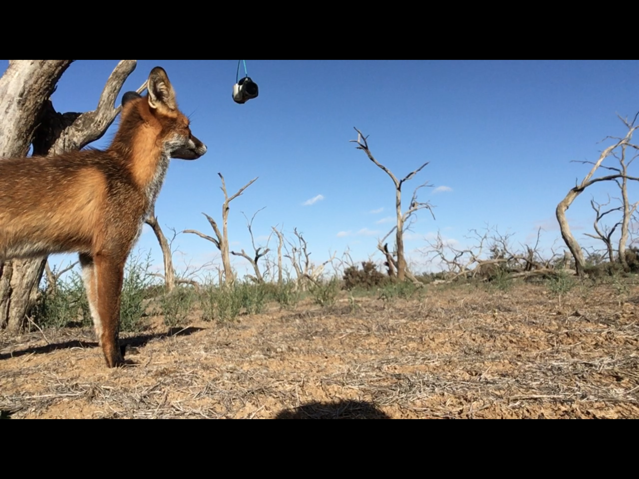 Field Staff Image 2